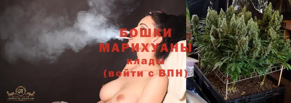 дживик Беломорск