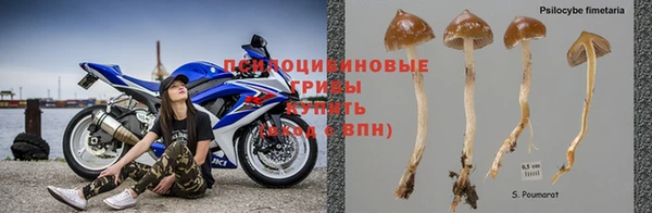 эйфоретик Богородицк