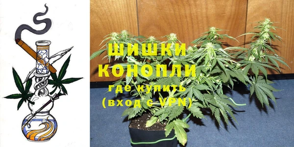 тгк Белокуриха