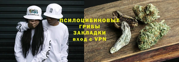 тгк Белокуриха