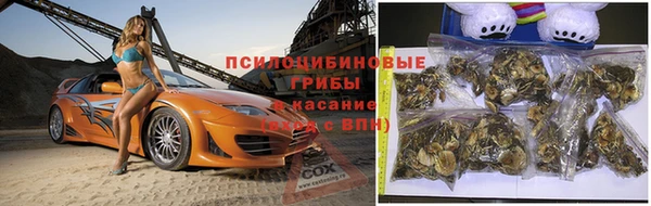 эйфоретик Богородицк